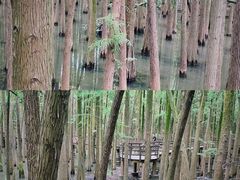 -青山湖景区