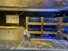 -新荣记(建国门外大街店)