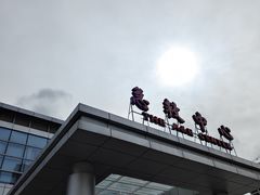 -上海交通大学医学院苏州九龙医院
