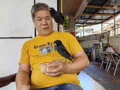 -茶米人台湾料理·精致快简餐
