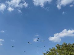 -荔枝公园(福田区)