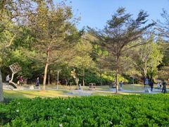 -广东花都湖国家湿地公园