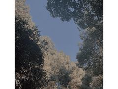 -红梅公园