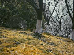 -苏州河梦清园环保主题公园