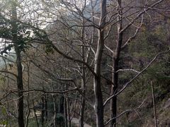 -大罗山风景区