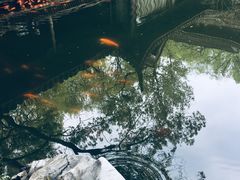 -乾园.魏庐湖景餐厅(花港店)