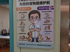 -北京观赏动物医院·24小时大型综合·猫专科·异宠专科