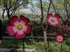 -高东镇樱花园