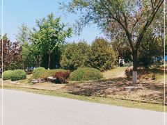 -永定河休闲森林公园