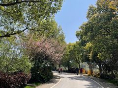 -南京市江宁方山