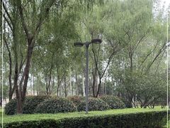 -西安浐灞国家湿地公园