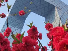 -中央广播电视总台(光华路办公区)