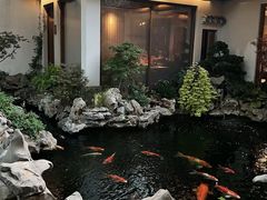 -鲤院·新中式美学·庭院餐厅(夫子庙店)