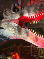 -恐龙探索乐园(磁器口店)