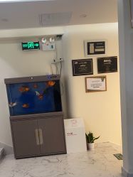 -海涛医疗美容·面部抗衰·注射美鼻