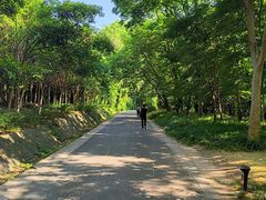 -大蜀山国家森林公园