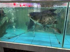 -新渔之道餐厅(塘厦店)