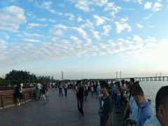 -宝安西湾红树林湿地公园