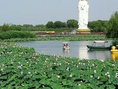-白洋淀景区