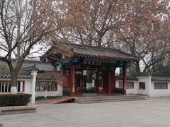-百脉泉景区