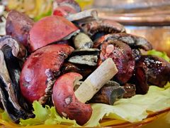 -菌海森林·非遗野生菌火锅(西山区滇池路摩根道店)