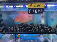 -星奇缘·海鲜餐厅(东山美食地标店)