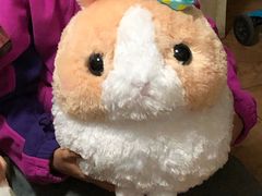 -LLJ夹机占(清河万象汇店)