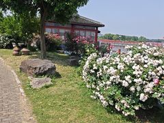 -鹅湖玫瑰文化园