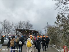 -紫金山山顶公园
