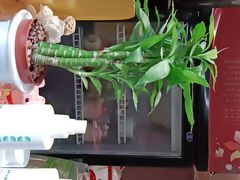 -膳糧·汕头肠粉·潮汕小吃(龙怡店)