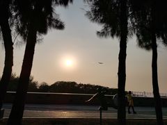 -宝安西湾红树林湿地公园