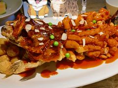 松鼠桂鱼-吴越荣记·苏州菜·松鼠桂鱼(娄门景区店)