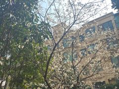 -清真·马坡烧烤涮牛肚·酸浆火锅(新区总店)
