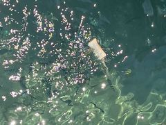 -东姑阿都拉曼海洋公园