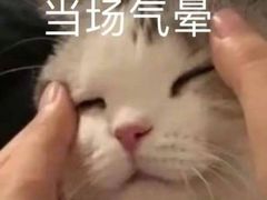 -汉堡王(北京三里屯购物中心)