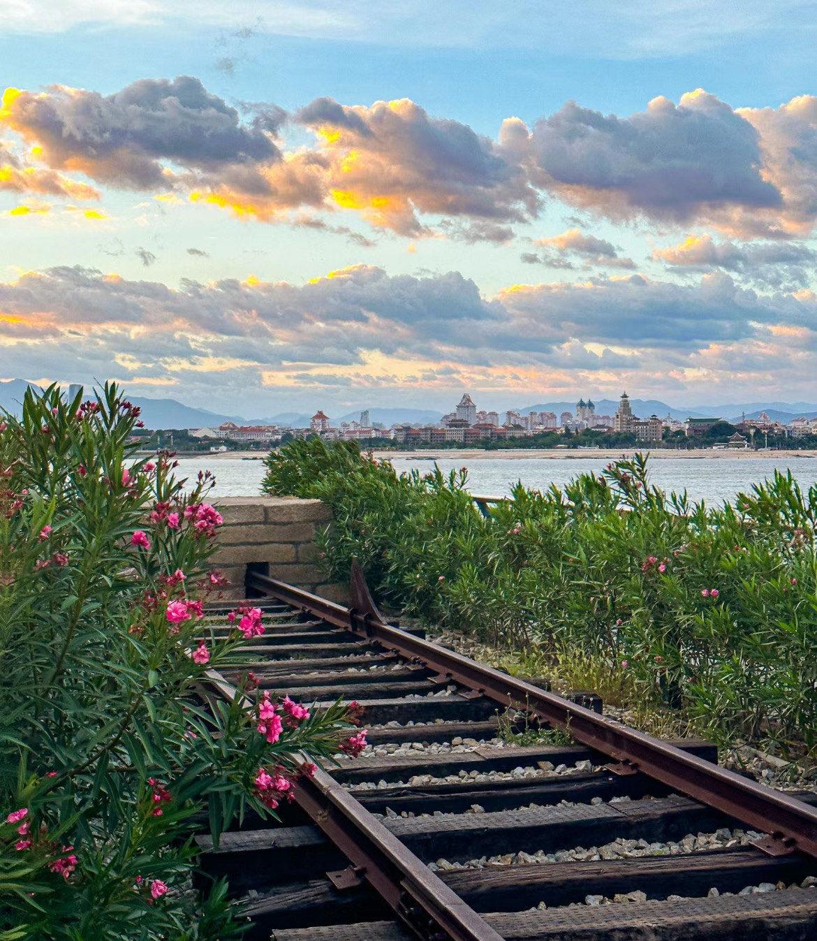 属于厦门的小镰仓"!真的美炸了!