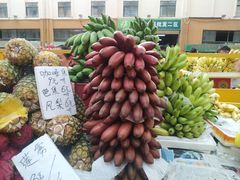 -三亚新鸿港水果一级批发市场