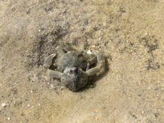 -北海金海湾红树林生态旅游区