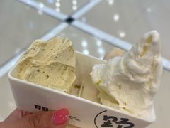 -野人先生现做冰淇淋(北京王府井东方新天地店)