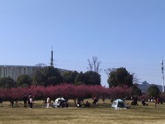 -长广溪湿地公园