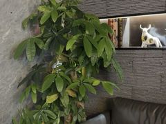 -水悦庭·影院足道·SPA ·商务休闲(光年汇店)