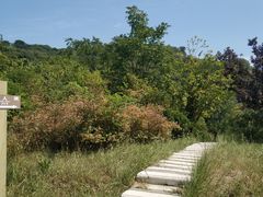 -冶山国家矿山公园