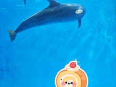 -海合安成都极地海洋公园