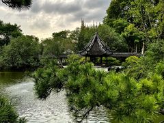 -上海醉白池公园