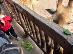 -长鹿旅游休博园