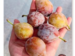 -砂之船奥特莱斯(合肥店)