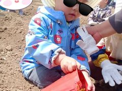 -京师双语幼儿园