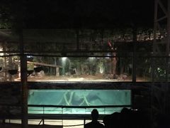 -清迈夜间动物园