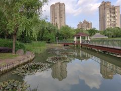-新虹桥中心花园