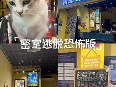 -谜盒子奇幻密室(南屏店)